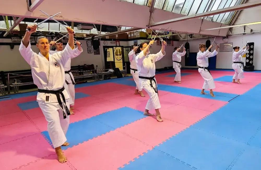 Doryoku Ryu Karate - Image 2