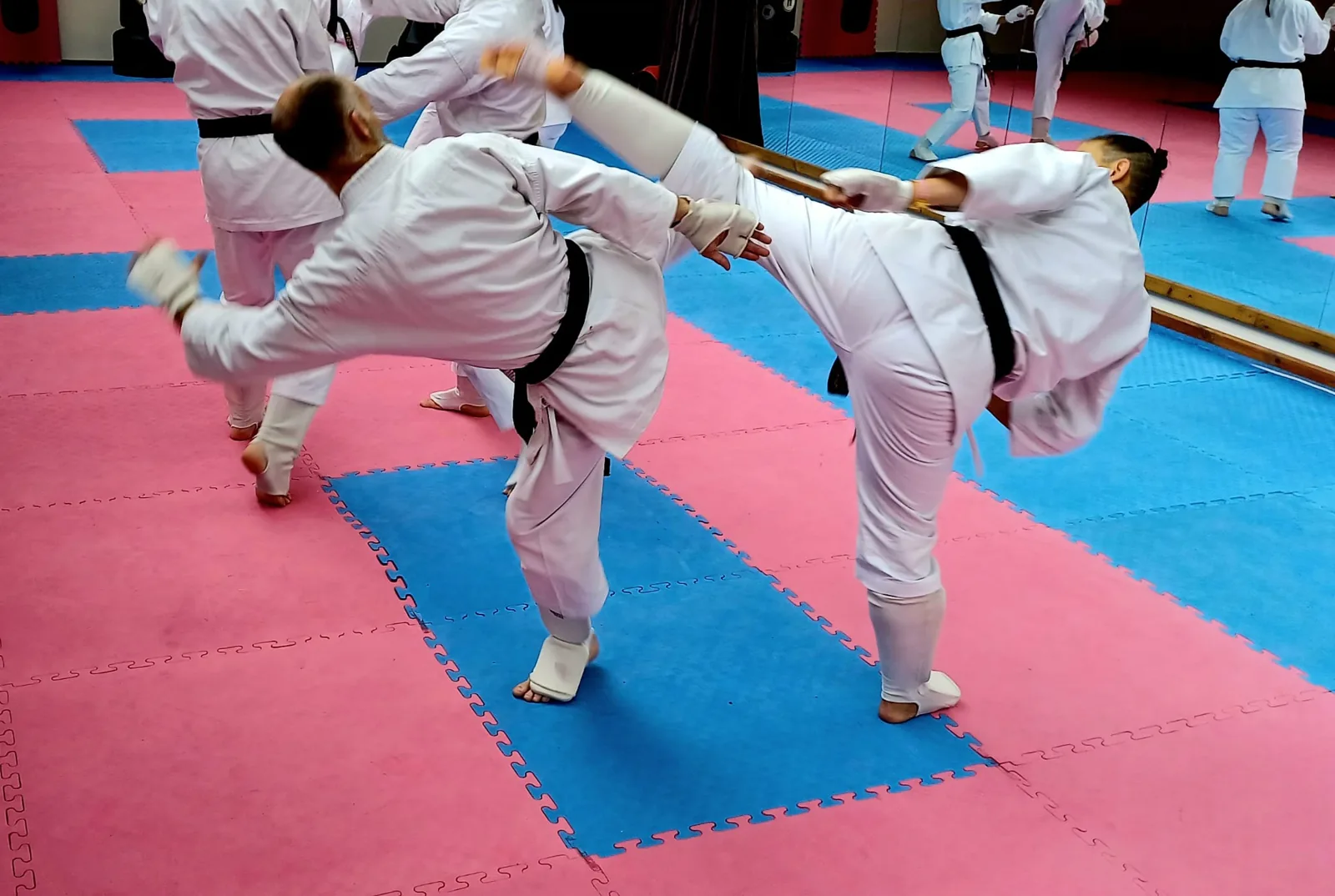 Doryoku Ryu Karate - Image 3