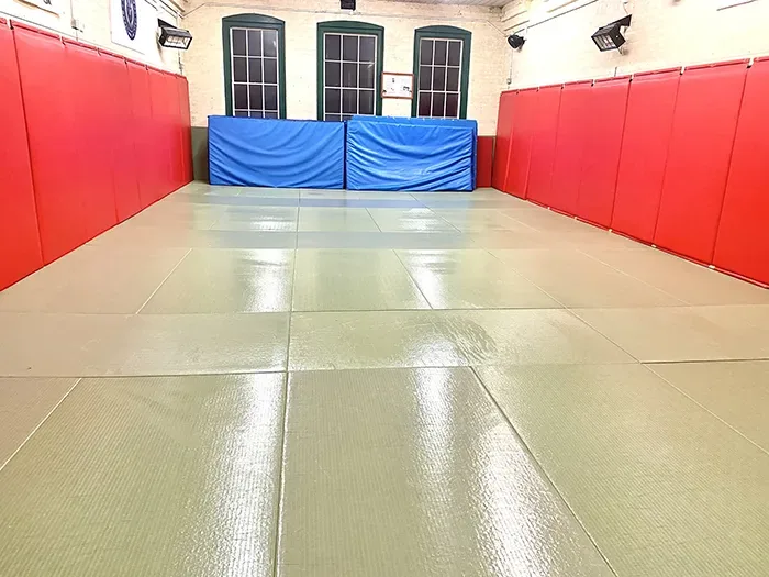 Pure Art BJJ