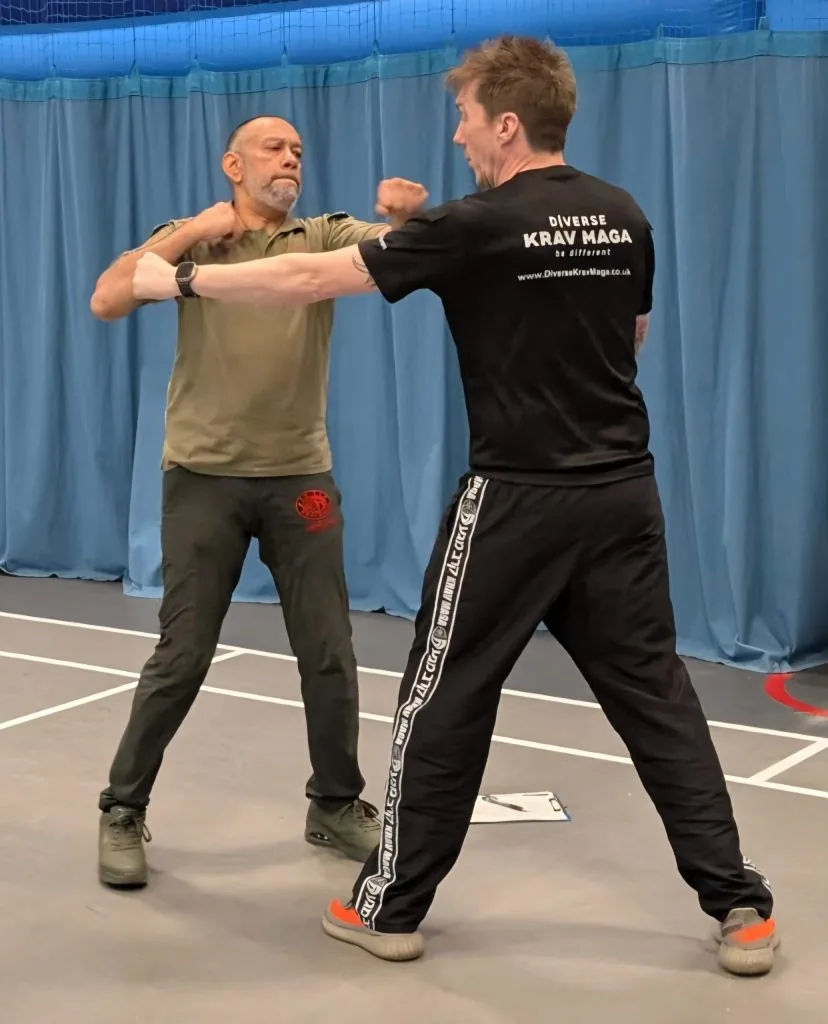 Diverse Krav Maga - Image 3