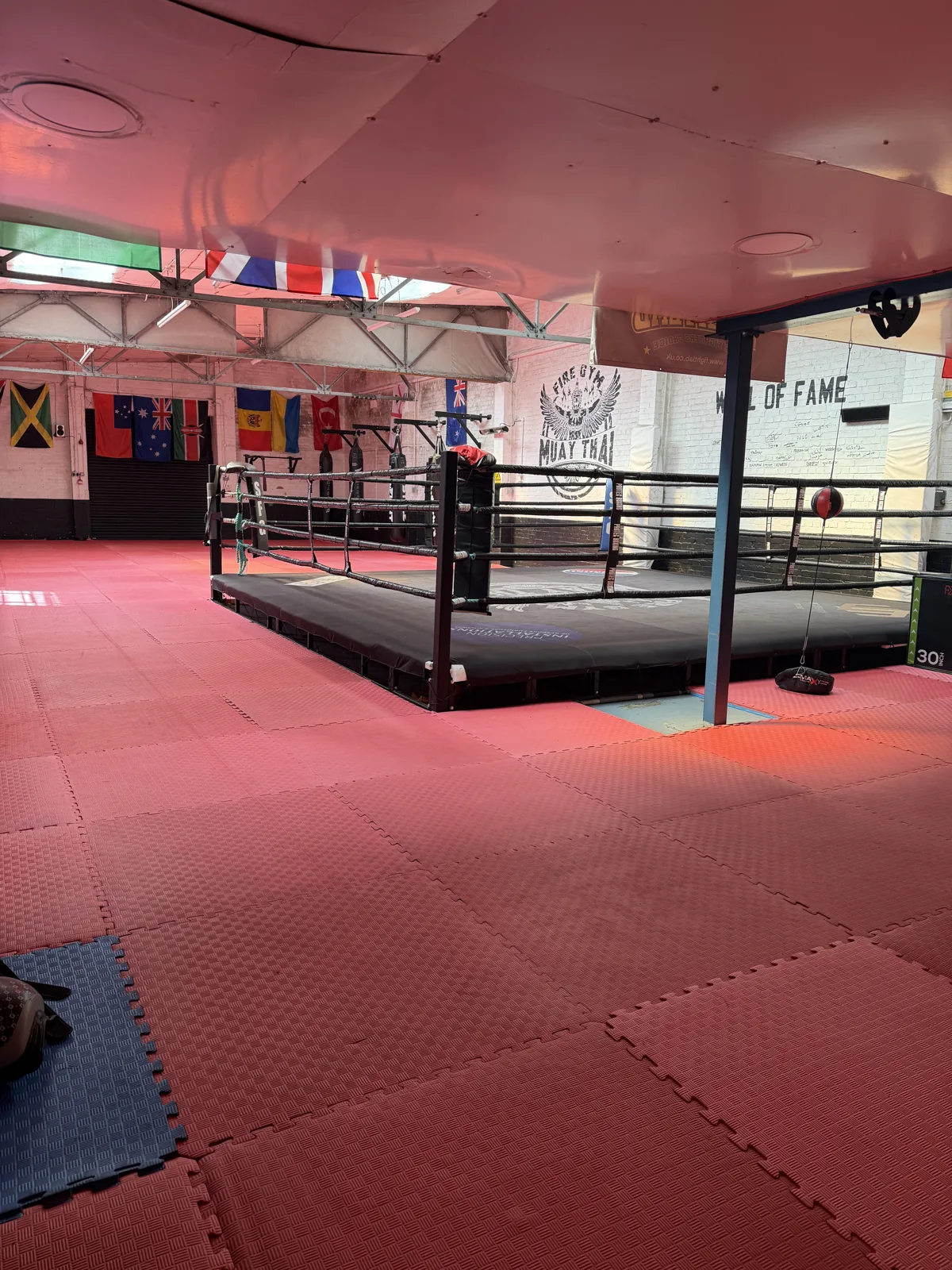Super Fire Gym - Image 2