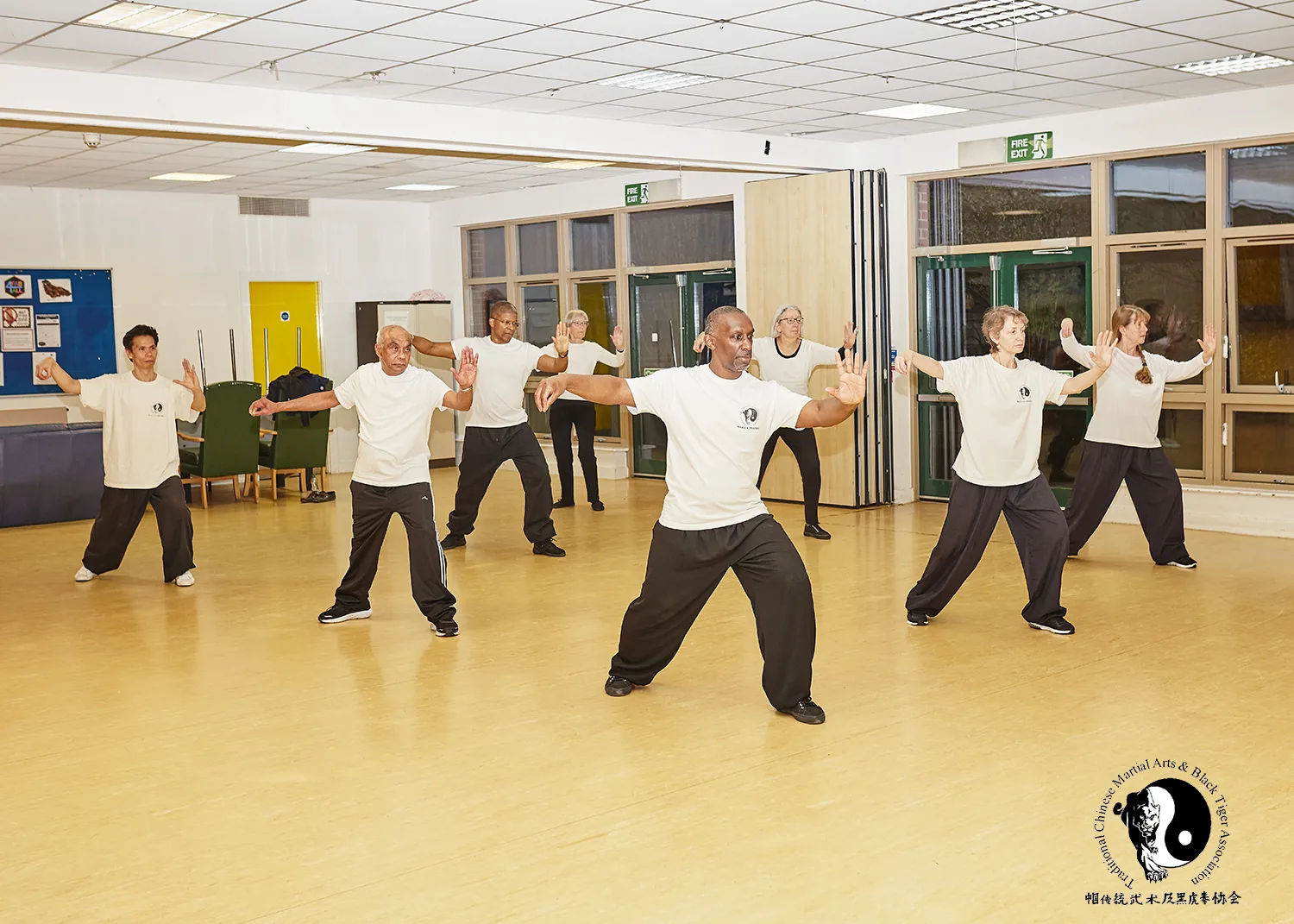 Traditional Chinese Martial Arts & Black Tiger Association - Image 2