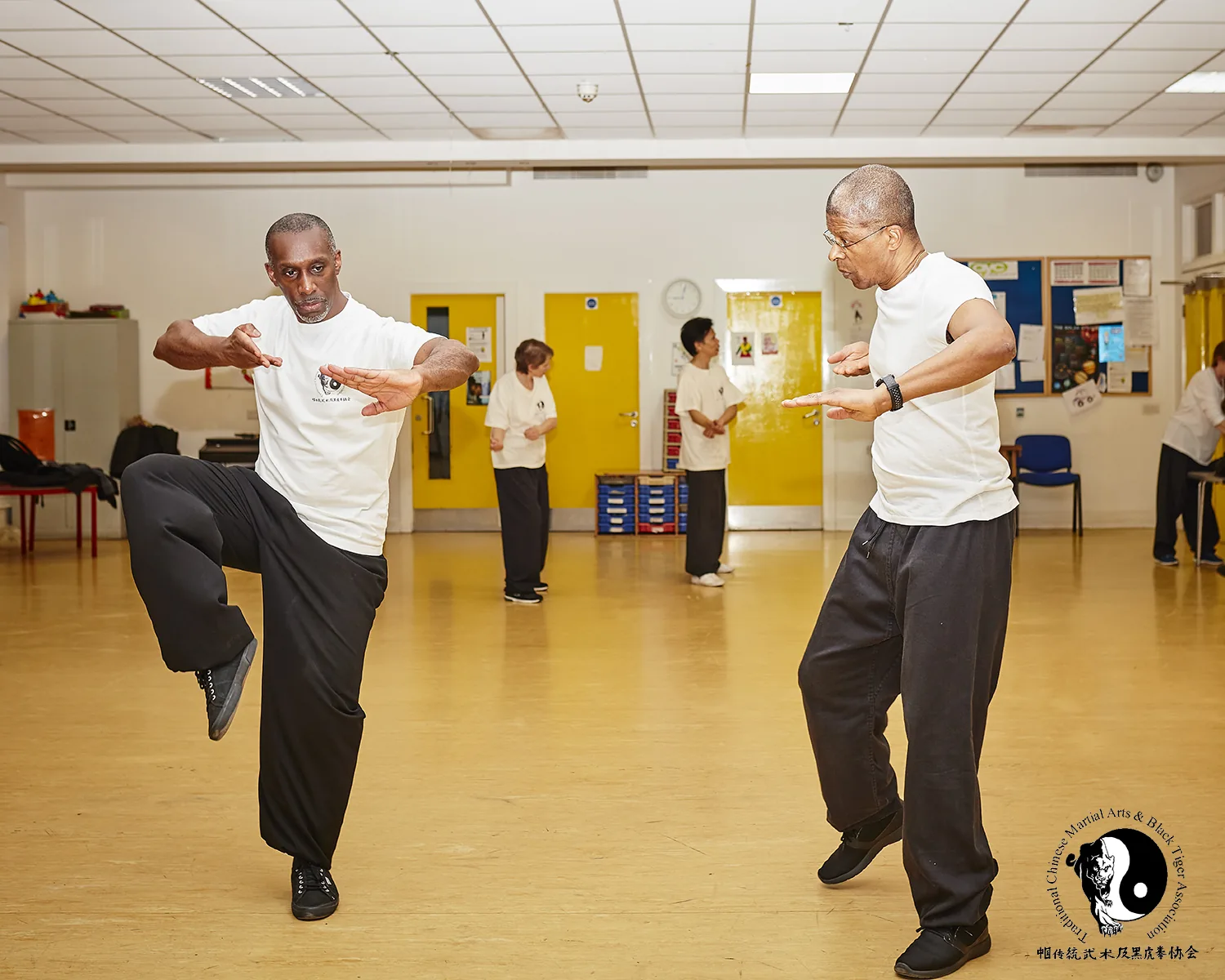 Traditional Chinese Martial Arts & Black Tiger Association - Image 3
