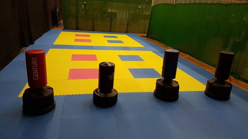 Thames Valley Pro Taekwon-Do & Korean Kickboxing