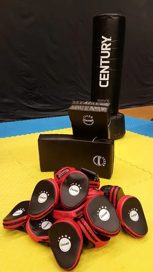 Thames Valley Pro Taekwon-Do & Korean Kickboxing - Image 3