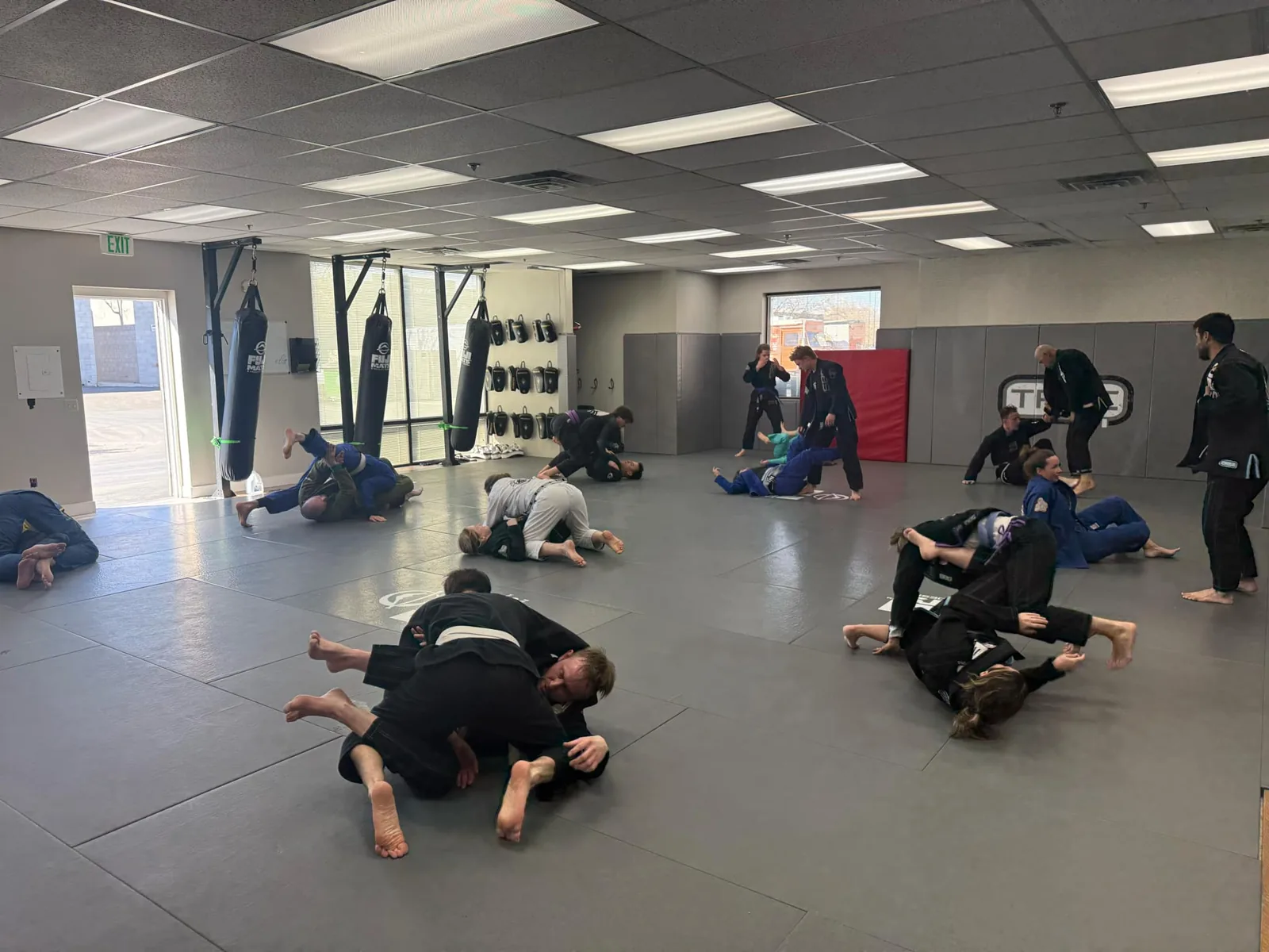 Tribe SBG Reno