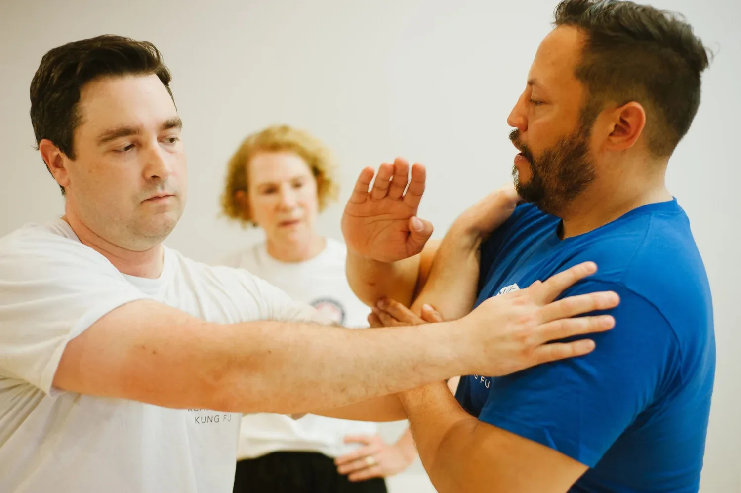 Academy of Kung Fu - Image 3