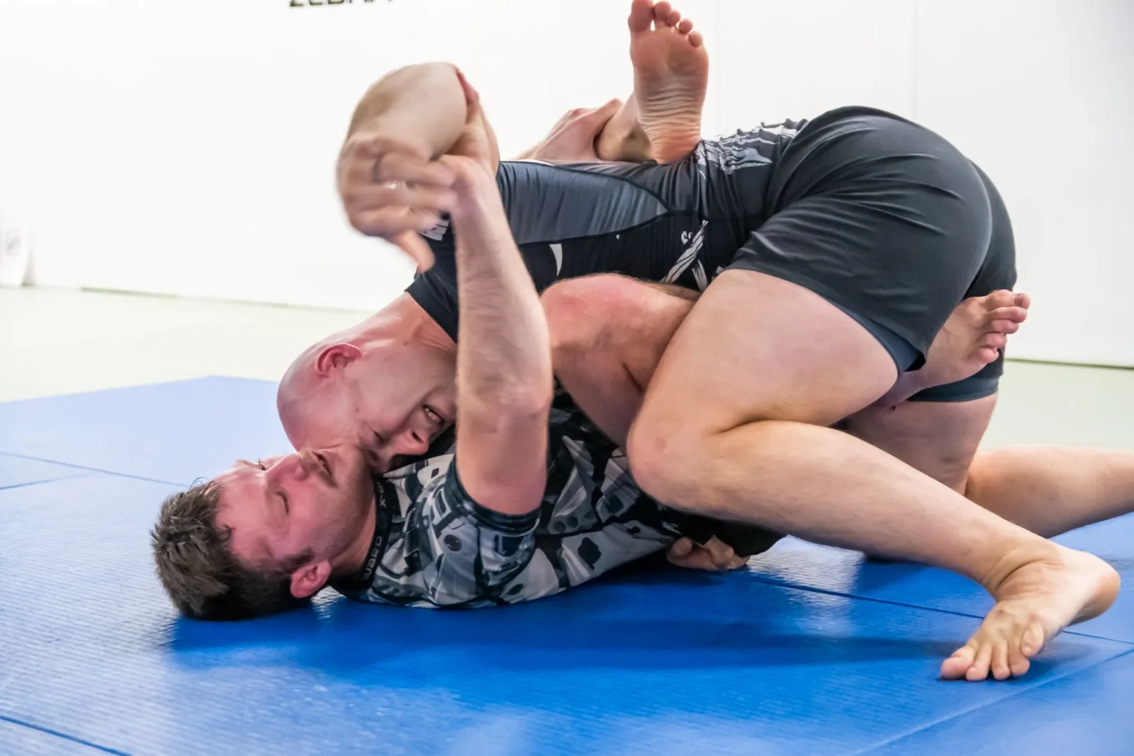 Rochester Jiu Jitsu