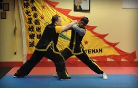 Rochester Shaolin Kung Fu Training Academy - Image 2