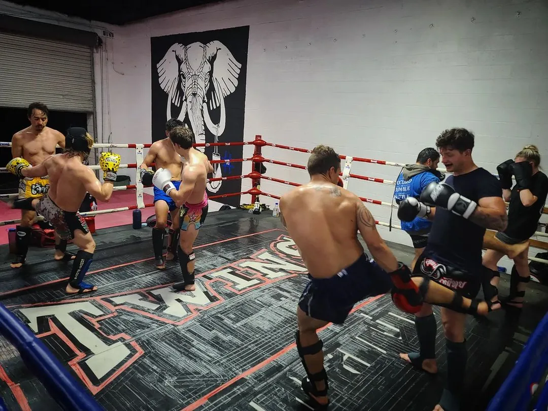 Legacy Muay Thai & Fitness - Image 2