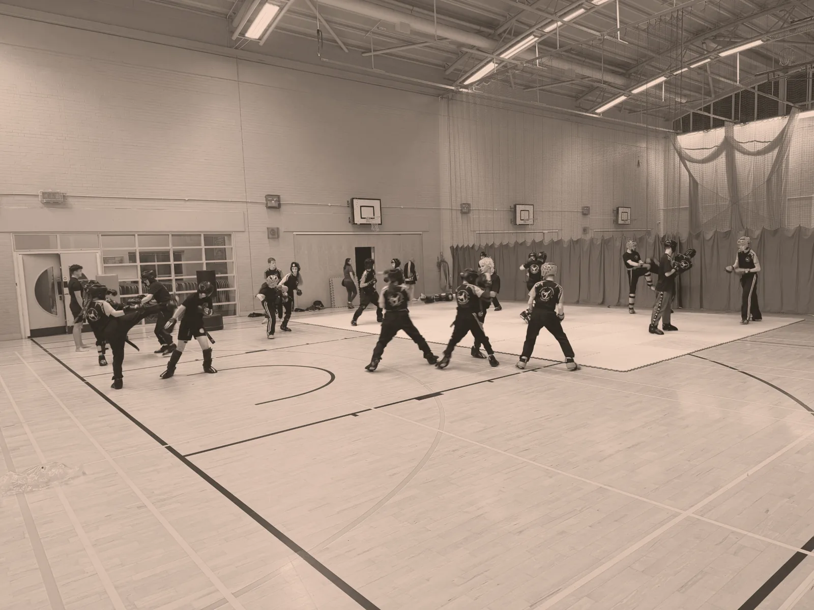 Phoenix School of Martial Arts