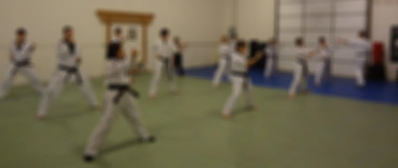 Integrity Martial Arts - Image 2