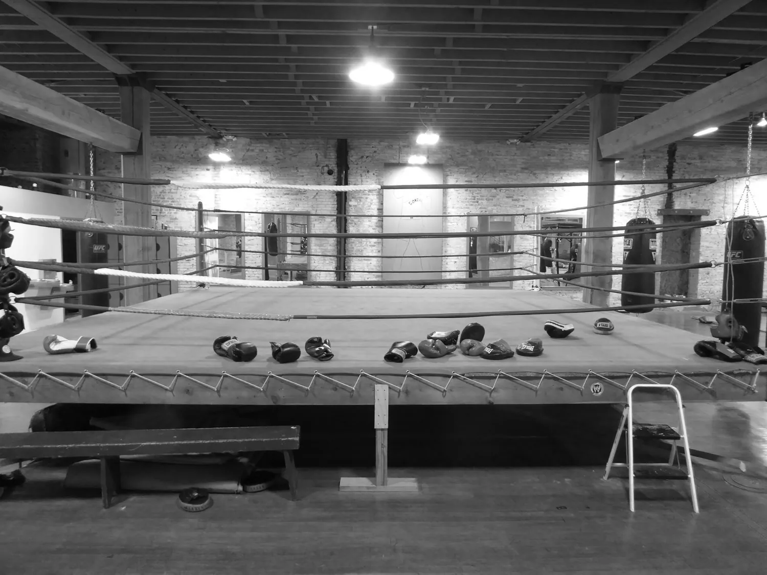 Spokane Boxing - Image 3