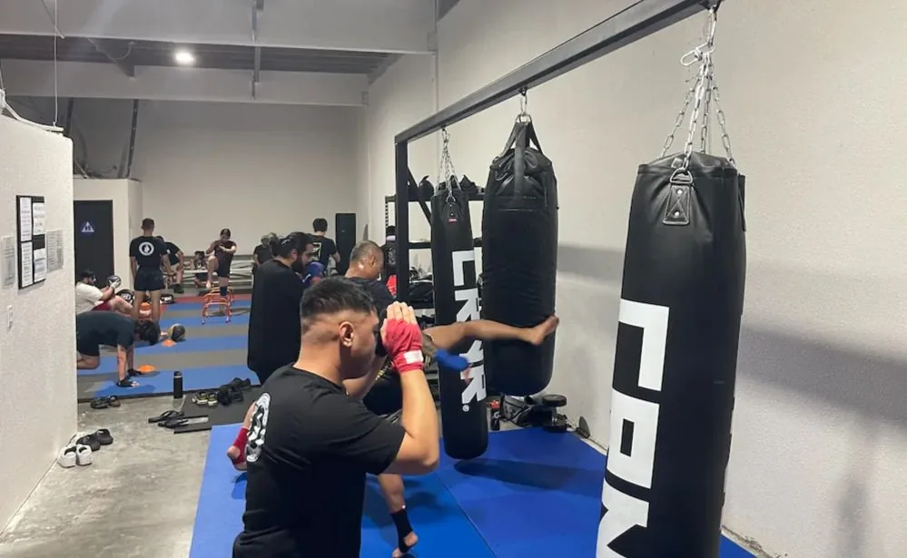Revolution Combat Academy