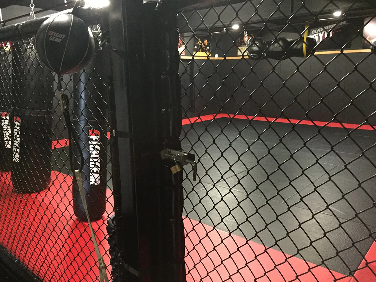 Gladiator MMA Gym - Image 2