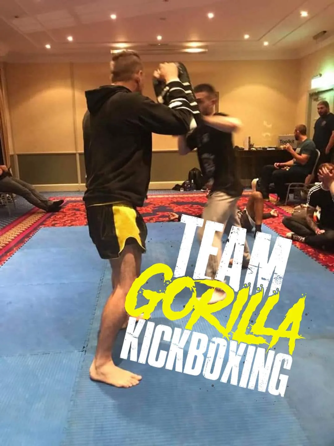 Gorilla Martial Arts - Image 2