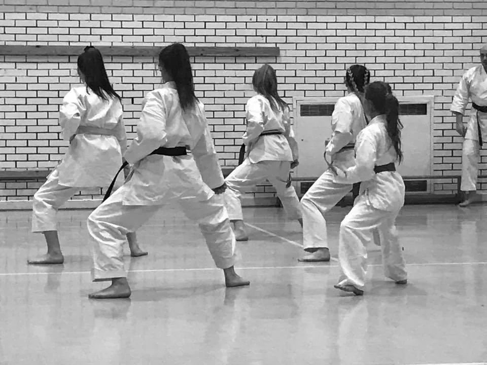Honto Shin Karate Academy - Image 3