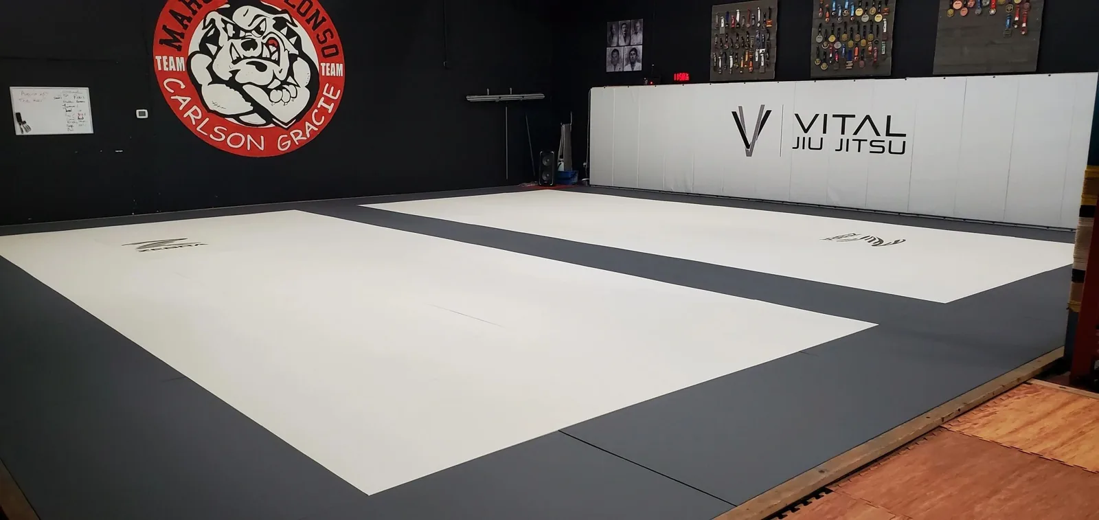 Vital Jiu Jitsu & Srisuk Muay Thai