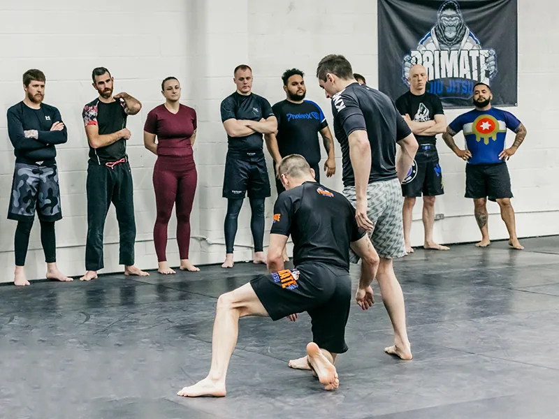Primate Jiu Jitsu