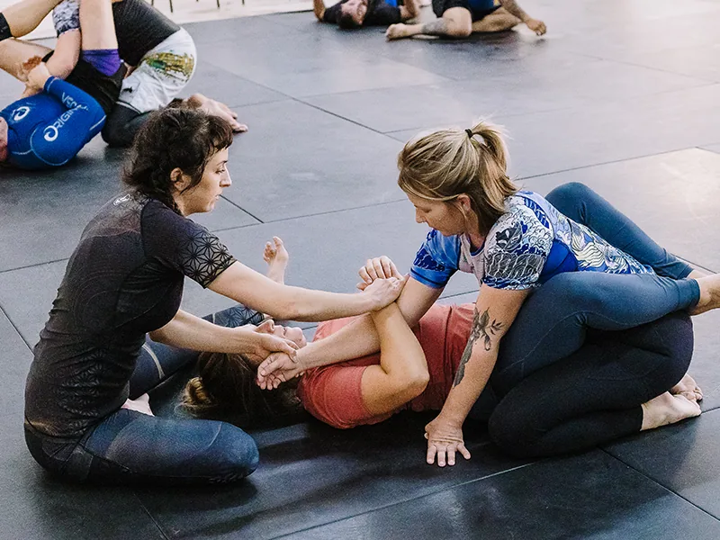 Primate Jiu Jitsu - Image 2