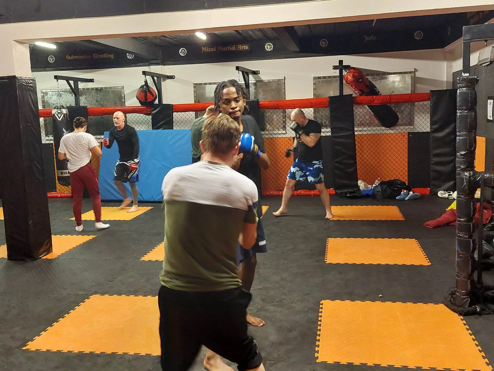 Wolves BJJ (Wolverhampton Brazilian Jiu-Jitsu) - Image 2