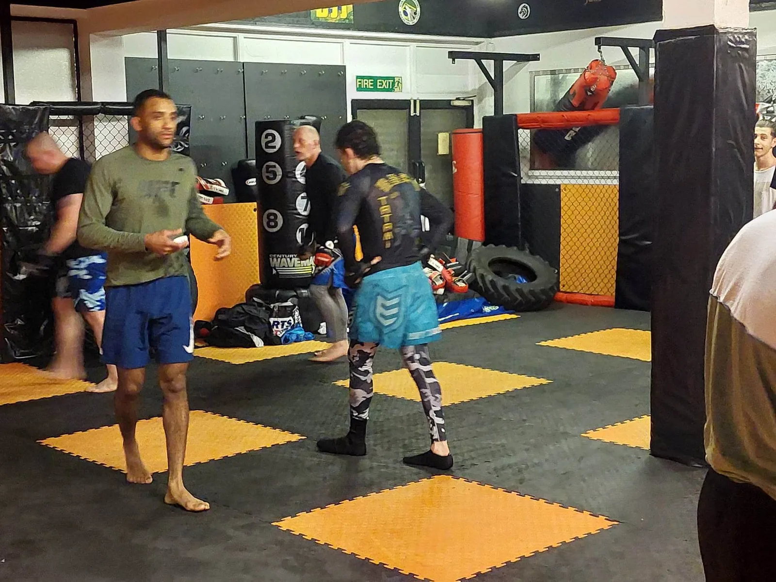 Wolves BJJ (Wolverhampton Brazilian Jiu-Jitsu) - Image 3
