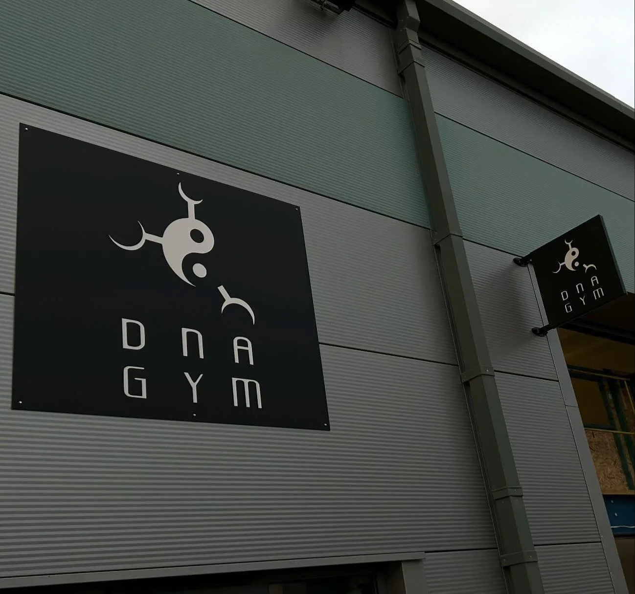 DNA MMA