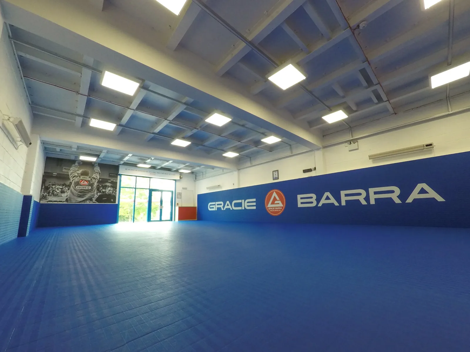 Gracie Barra York