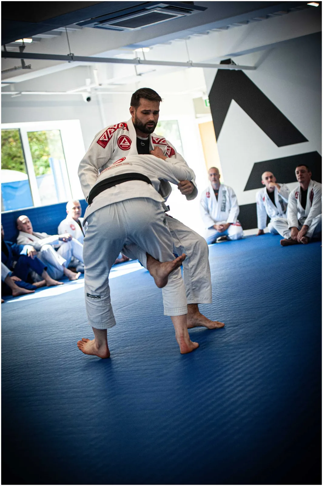 Gracie Barra York - Image 2