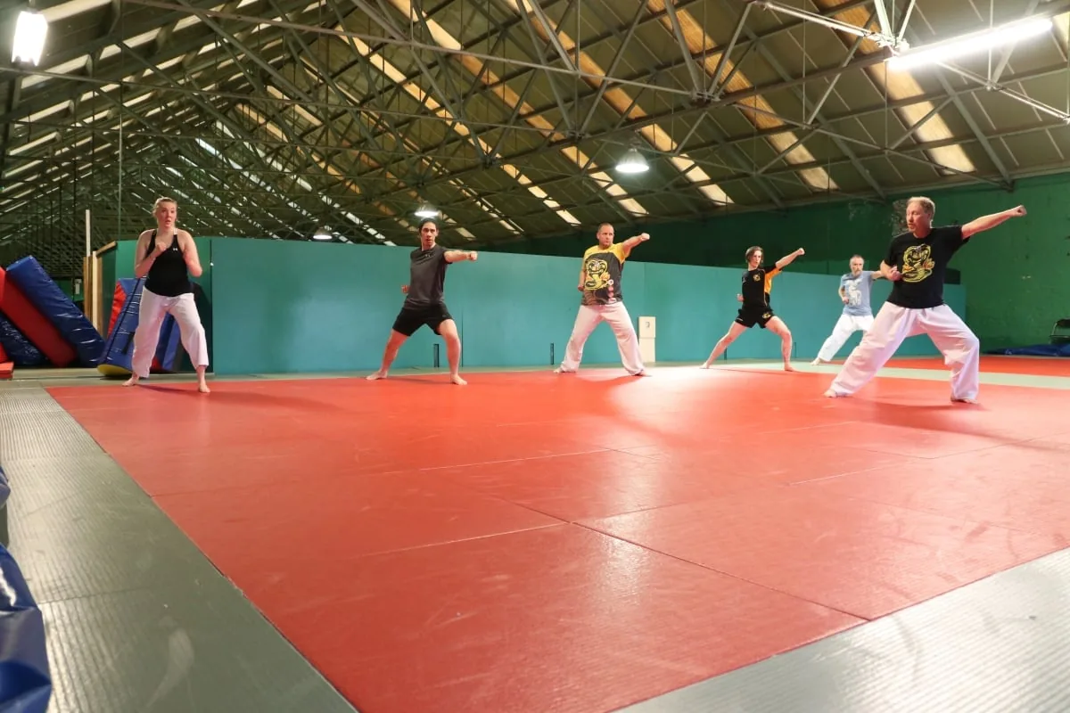 York Elite Karate